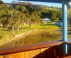 Café da manhã em parreiral e uma noite na carroça? Veja opções de experiências memoráveis na RMC