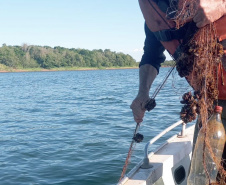 Força-tarefa do IAT combate crimes contra o desmatamento, pesca e caça ilegal, no Oeste e Noroeste