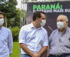 PARANÁ POLINIZA