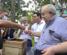 PARANÁ POLINIZA