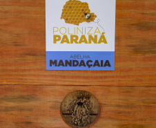 PARANÁ POLINIZA