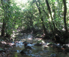 Governo do Paraná destaca papel das RPPNs na conservação da biodiversidade