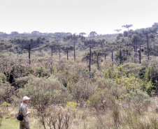 Governo do Paraná destaca papel das RPPNs na conservação da biodiversidade