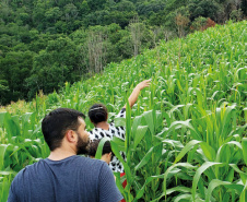 Famílias beneficiadas pelo Renda Agricultor Familiar têm suas histórias narradas em revista 