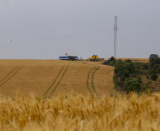 PARANÁ AGRO