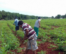 Famílias beneficiadas pelo Renda Agricultor Familiar têm suas histórias narradas em revista 