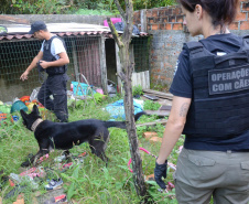 Ações dos cães policiais da Polícia Civil resultam na apreensão de 7,8 toneladas de drogas em 2021 