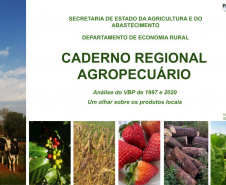 Secretaria da Agricultura lança Caderno com análise da evolução do Valor Bruto da Produção