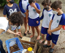 Aula prática de compostagem na Ilha do Mel