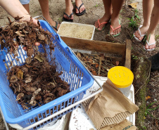 Aula prática de compostagem na Ilha do Mel