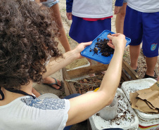 Aula prática de compostagem na Ilha do Mel