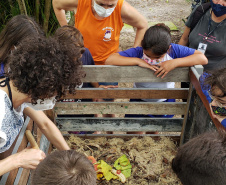 Aula prática de compostagem na Ilha do Mel