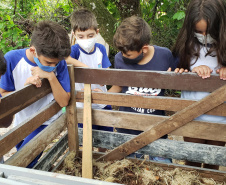 Aula prática de compostagem na Ilha do Mel