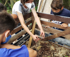 Aula prática de compostagem na Ilha do Mel