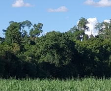 Governo do Paraná registra mais uma Reserva Particular do Patrimônio Natural no Norte do Estado