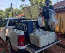Cumprimento a denúncia sobre comercialização ilegal de peixes nativos - Curitiba, 17/02/2022