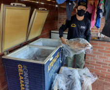 Cumprimento a denúncia sobre comercialização ilegal de peixes nativos - Curitiba, 17/02/2022
