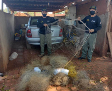 Cumprimento a denúncia sobre comercialização ilegal de peixes nativos - Curitiba, 17/02/2022