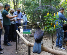 Diretores do BRDE, prefeito de Foz e parceiros visitam Parque das Aves e discutem fomento ao turismo