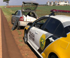 BPRv apreende carro carregado com 300 litros de herbicida no Oeste do estado 