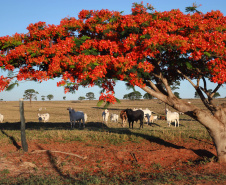 Governo e Faep discutem sustentabilidade no agronegócio