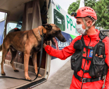 Governo do Paraná envia 10 bombeiros e quatro cães para buscas a desaparecidos em Petrópolis