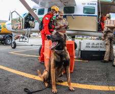 Governo do Paraná envia 10 bombeiros e quatro cães para buscas a desaparecidos em Petrópolis