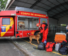 Governo do Paraná envia 10 bombeiros e quatro cães para buscas a desaparecidos em Petrópolis