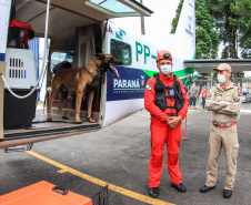 Governo do Paraná envia 10 bombeiros e quatro cães para buscas a desaparecidos em Petrópolis