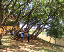 Os alunos do Colégio Estadual William Madi, de Cornélio Procópio, no Norte do Estado, finalmente têm uma escola para chamar de sua. Uma das 14 unidades que foram alvo da Operação Quadro Negro, a nova sede da escola foi entregue nesta quinta-feira (17) pelo governador Carlos Massa Ratinho Junior. 