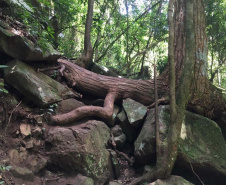 IAT interdita trilha do Parque Estadual Salto São Francisco da Esperança