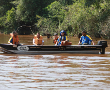  Rio Xambrê é repovoado com 50 mil peixes juvenis nativos