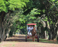 Setor do turismo cresce 13,7% no Paraná em 2021; serviços avançam 8,3%