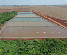 Paraná produziu 9,3% a mais de peixes em 2021 confirmando liderança nacional