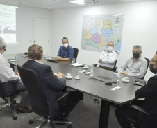 Crédito para inovação impulsiona projeto de reflorestadora do sul do estado