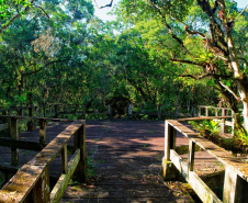 Parques estaduais viram atrações diferenciadas para veranistas e moradores da região do Litoral