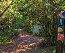 Parques estaduais viram atrações diferenciadas para veranistas e moradores da região do Litoral