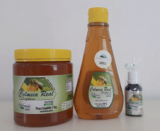 Produtor de mel orgânico de Prudentópolis é certificado pelo Tecpar