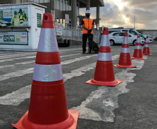 Portos do Paraná reforçam segurança com inspeções com cães de faro