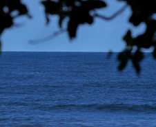 Balneabilidade do Litoral do Estado apresenta melhora de 75%