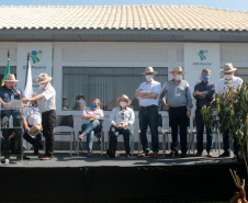 IDR-Paraná apresenta cultivares de mandioca, soja e maracujá ao setor produtivo - Cascavel, 09/02/2022