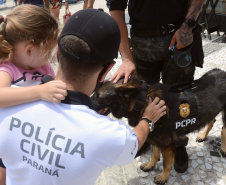 Cães policiais da Polícia Civil interagem com a sociedade no Litoral