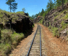 Com alta de 13% na movimentação em 2021, Ferroeste impulsiona economia do Paraná