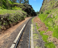 Com alta de 13% na movimentação em 2021, Ferroeste impulsiona economia do Paraná