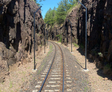 Com alta de 13% na movimentação em 2021, Ferroeste impulsiona economia do Paraná