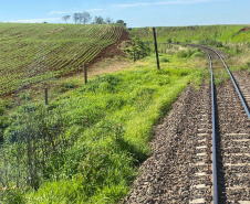 Com alta de 13% na movimentação em 2021, Ferroeste impulsiona economia do Paraná