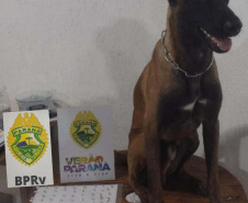 Em diferentes cidades, policiais rodoviários estaduais apreendem 200 quilos de maconha, porções de crack e equipamentos eletrônicos