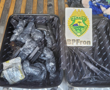 Arsenal de pistolas com destino a Minas Gerais é apreendido durante abordagem do BPFRON em Matelândia