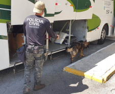 Polícia Civil faz fiscalização com cães policiais na rodoviária de Matinhos