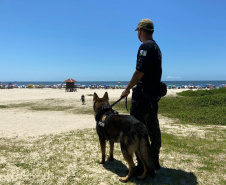 Polícia Civil faz fiscalização com cães policiais na rodoviária de Matinhos